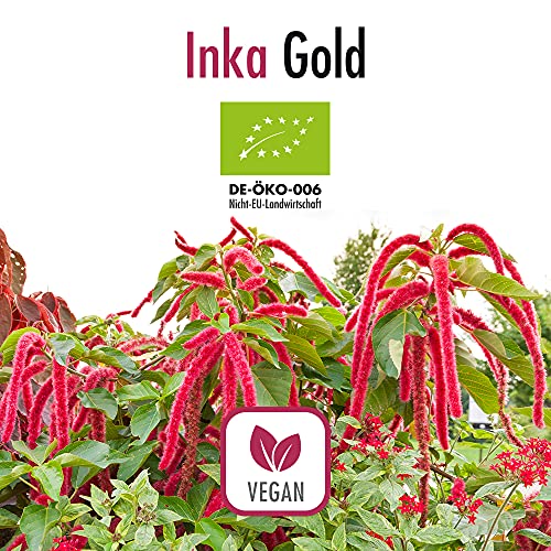 SILBERTAU Inka Gold – 240 BIO Kapseln mit Amaranth & Quinoa – 100 % pflanzlich – roh & naturrein – glutenfrei & vegan – ohne Zusatzstoffe – DE-ÖKO-006 zertifiziert