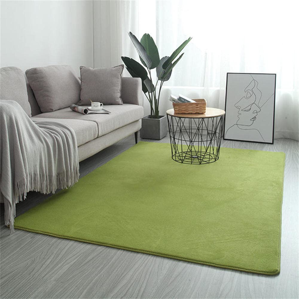 Grand tapis de cuisine et chambre LUNEZY moelleux et doux