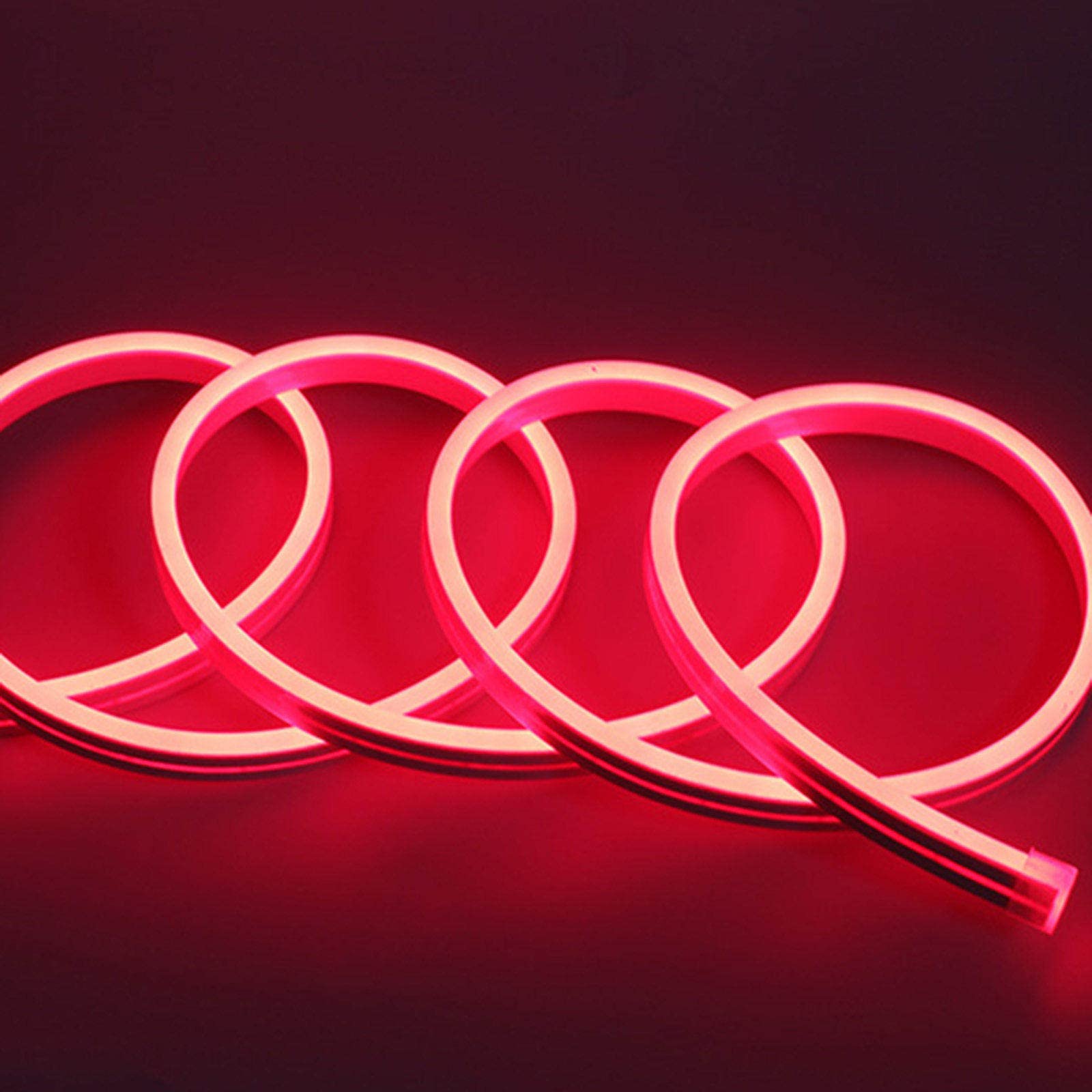 2 Rotoli (5 m * 2) Striscia Luminosa a LED in Silicone Striscia Flessibile Impermeabile Adatta per la Decorazione di Interni ed Esterni,H