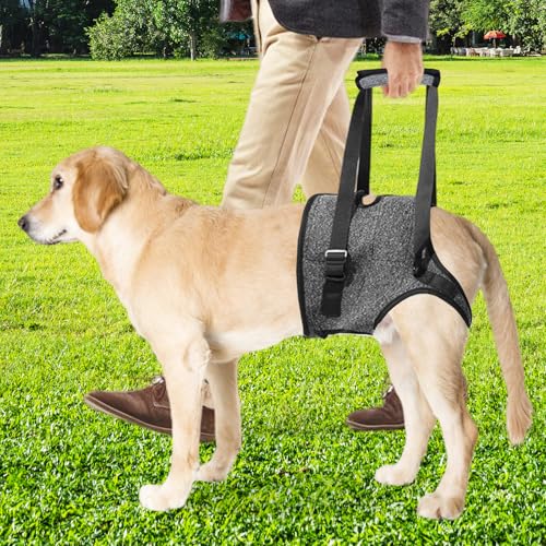 Tragehilfe Hund Hundehebegeschirr Tragegeschirr Hundeschlinge: Hundestützgeschirr Für Die Hinterbeine Mit Handgriff, Verstellbare Gehhilfe Für Verletzte Behinderte Kleine Mittlere Große Hunde (L)