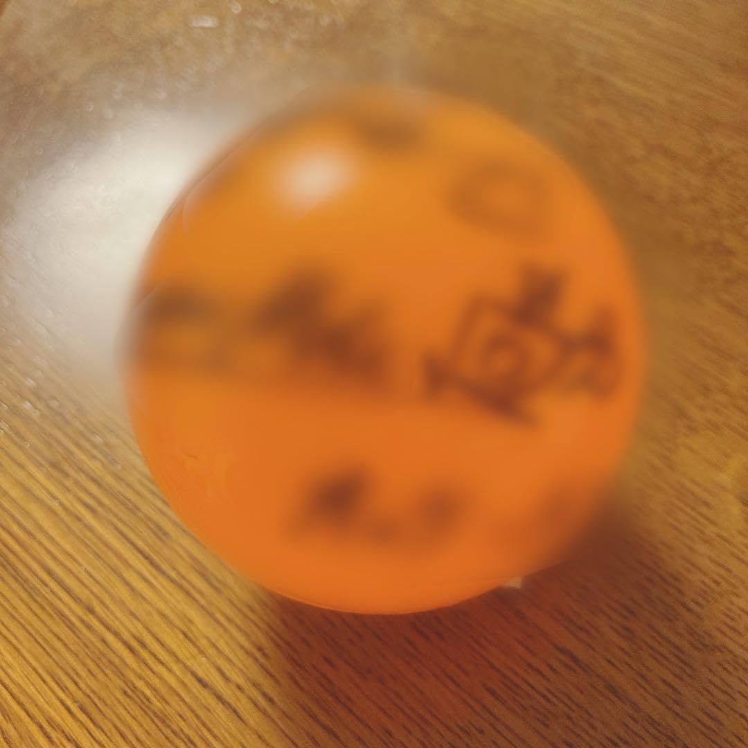 向井康二 サインボール 【公式通販】