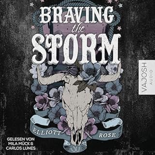 Braving the Storm cover art