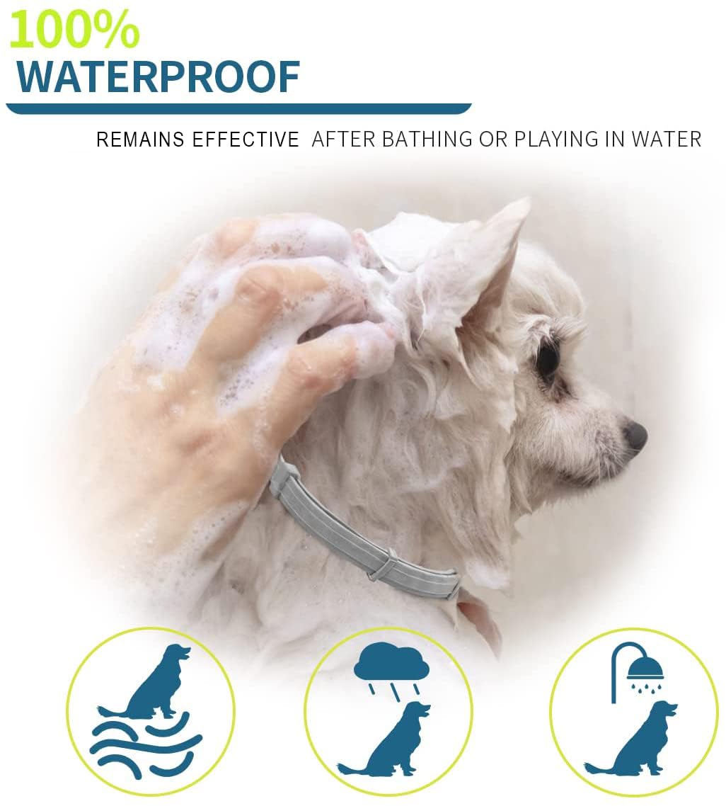 Cura Animali Domestici Set 2 Collari Per Cani Impermeabili | 63 Cm Regolabili | Con Oli Essenziali Naturali | Comfort E Protezione Collari Regolabili Impermeabili Oli Essenziali - 12