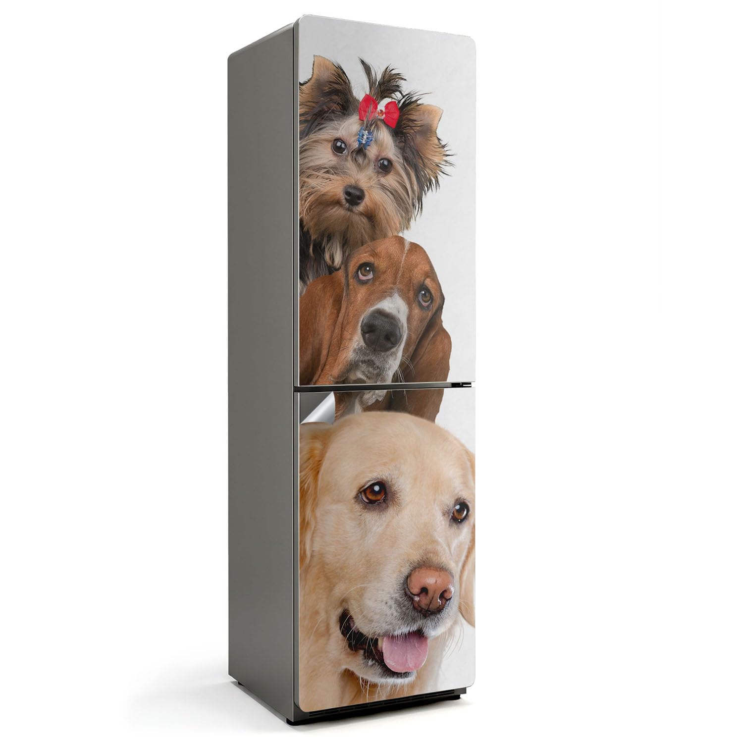 Stickers pour Réfrigérateur 60x205 cm Trois chiens cadre vinyle adhésif de cuisine