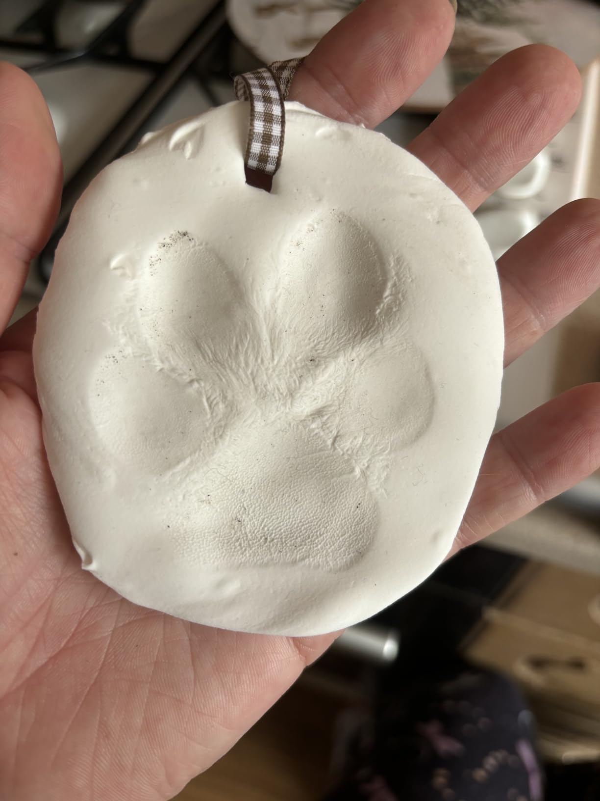 Pet Paw Print Kit for Dogs & Cats – Air Dry Clay Cat Paw Print Kit ...