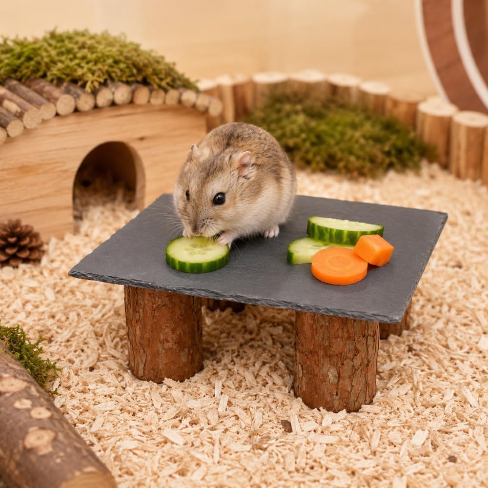 Hamster Slate Feeding Stand, 7.9 x 5.9 Inch Natural Slate Treat Tray with Willow Wood Stump Legs, Easy Clean Cooling Stone Platform, Natural Cage Decor for Dwarf Hamsters Gerbils Mice image 4