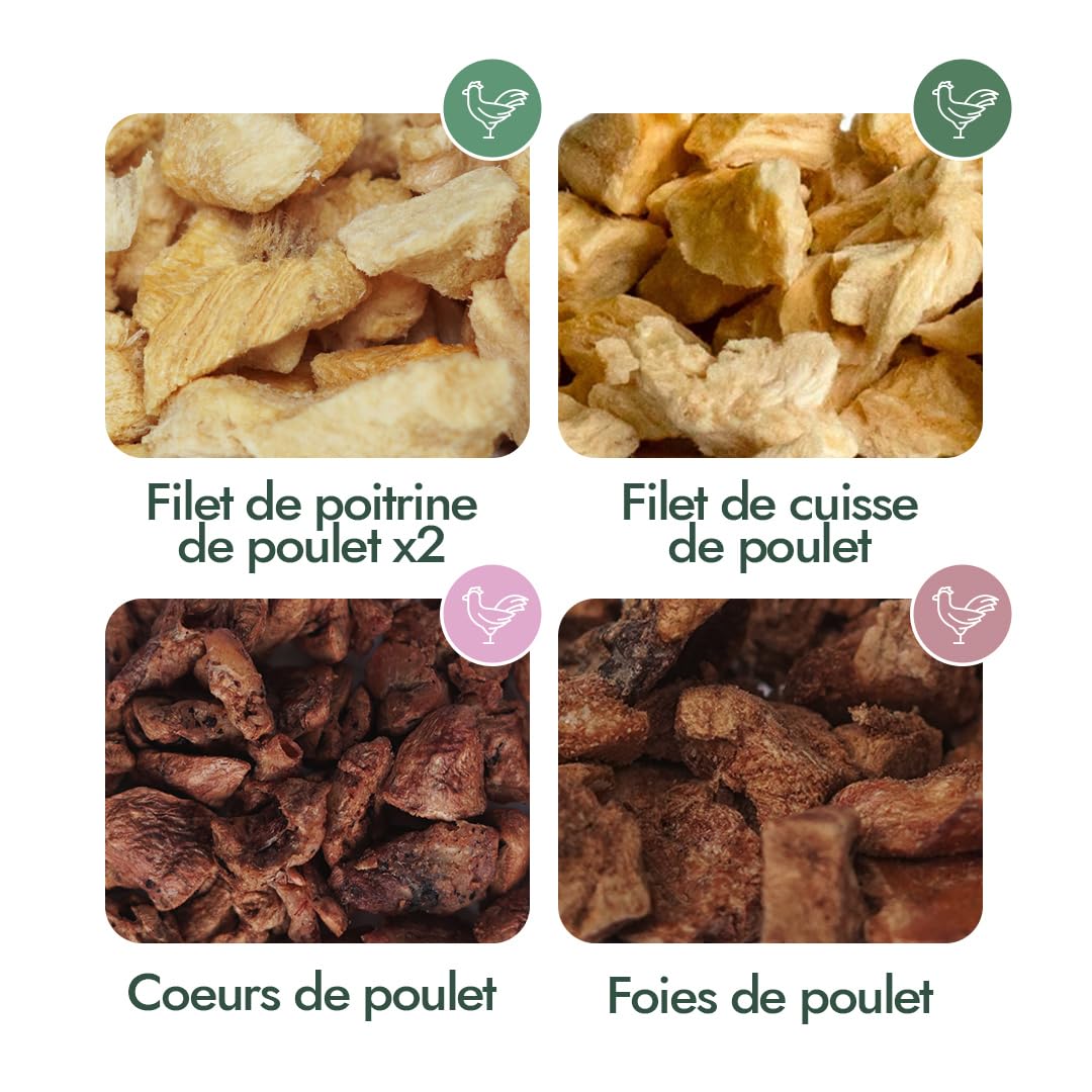 AYLA Lot de 5 paquets de friandises pour chat lyophilisées de qualité supérieure - Riche en protéines - Booster vital pour le pelage et les muscles - Pour chatons et chats adultes (140 g, mélange de