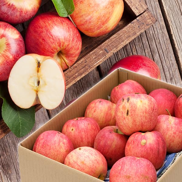 Amazon.co.jp: 山形県産 ご家庭用 りんご 秋陽 10kg (訳あり/26玉〜46  