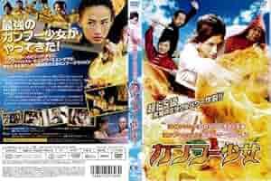 【廃盤】『カンフー・マスター!』 DVD Yahoo!オークション -「カンフーマスター」の落札相場・落札価格