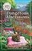 Dangerous Alterations (Southern Sewing Circle Mystery Book 5)
