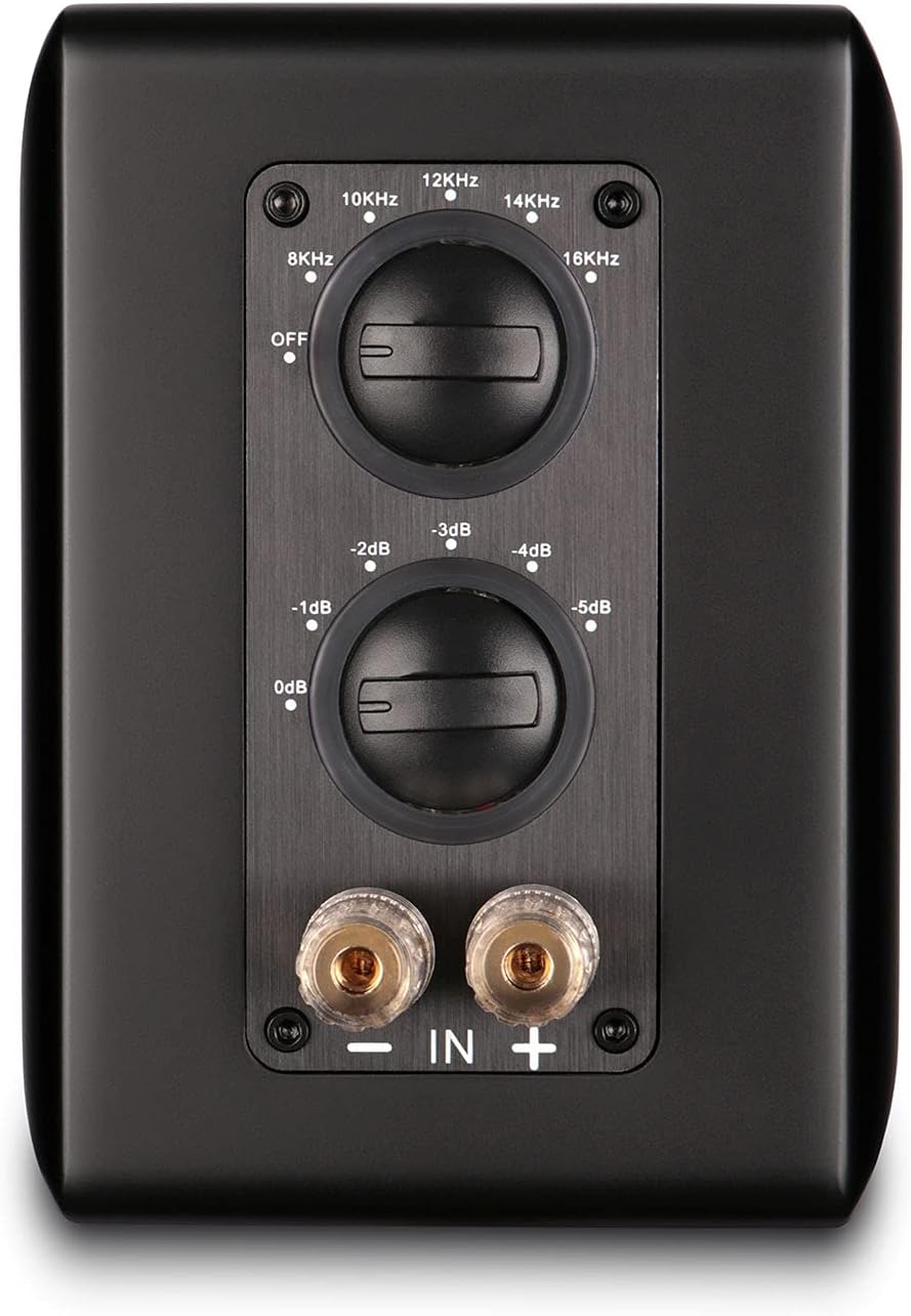 Close-up of the rear panel showing the crossover and treble adjust knobs.