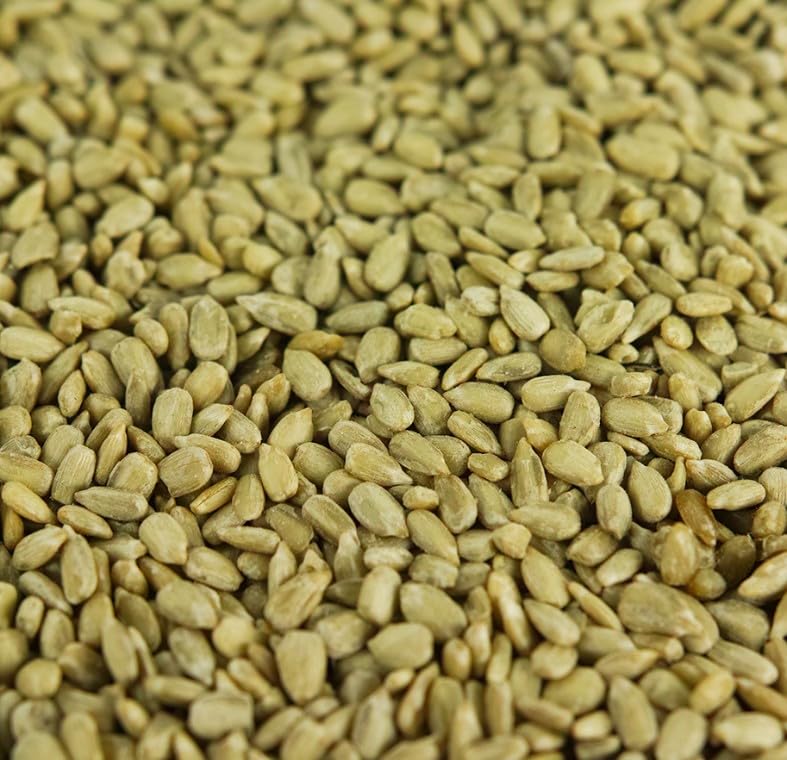 BusyBeaks Sunflower Hearts Wild Bird Food | Finest Bakery-Grade Garden Seed Mix | Husk Free and Dehulled No Mess Seeds | Nutritious Natural and Healthy Feed Mixture | Balanced Vitamin Recipe (2.5KG)