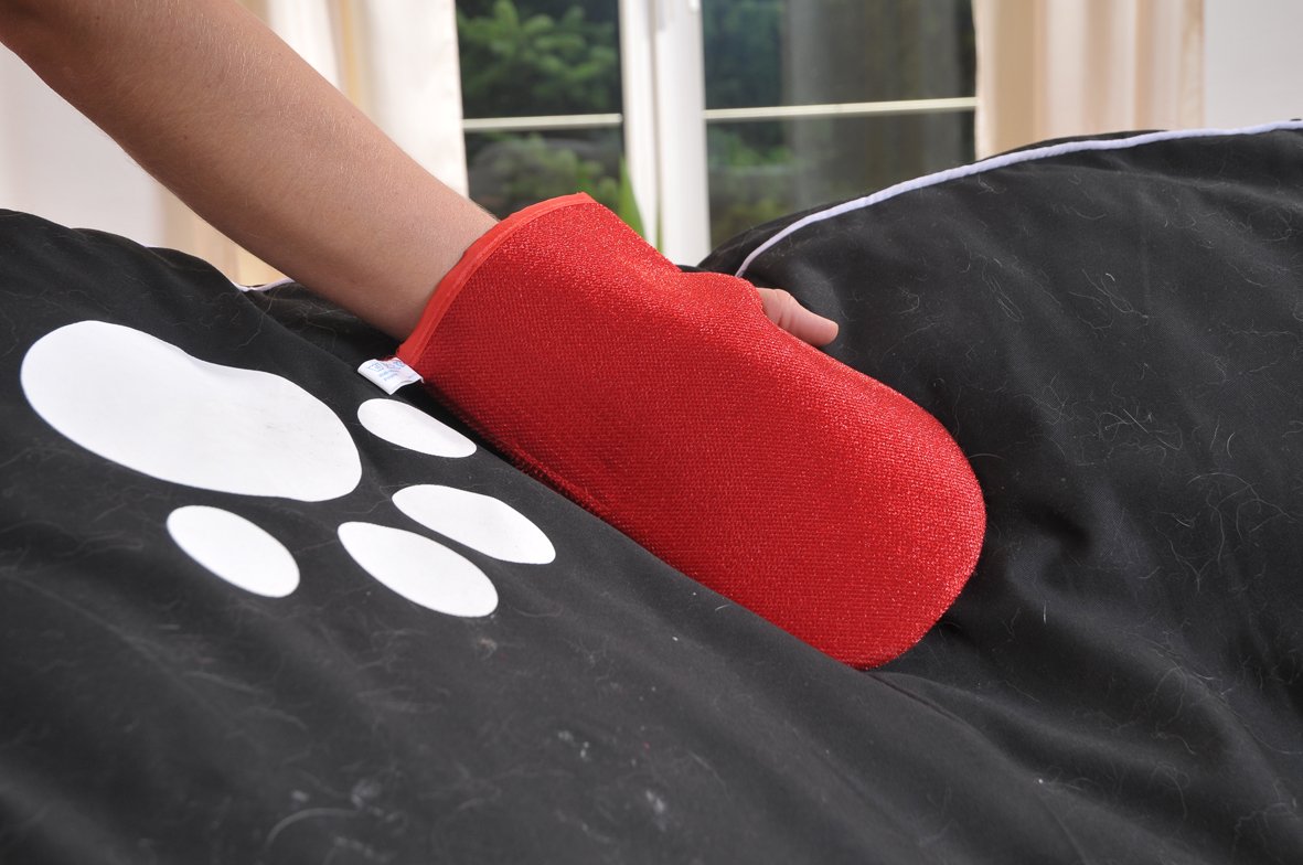 Hoe krijg je dierenhaar van je kleding af Hoe krijg je dierenhaar van je kleding af