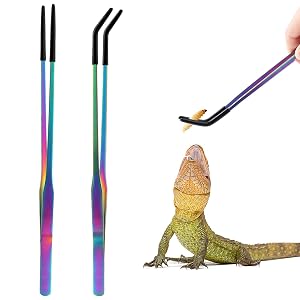OLIISS Stainless Steel Reptile Feeding Tongs with Rubber Tip - 10 6 Straight Curved Tweezers for Aquariums Crafts