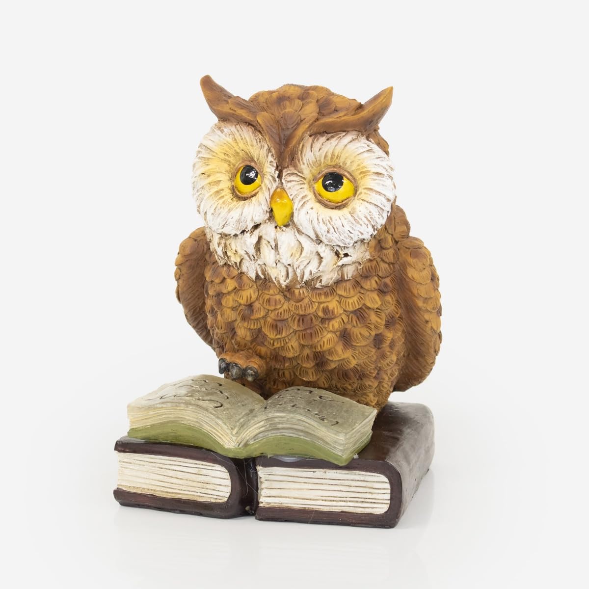 Healthy Living Direct Reading Owl Ornament