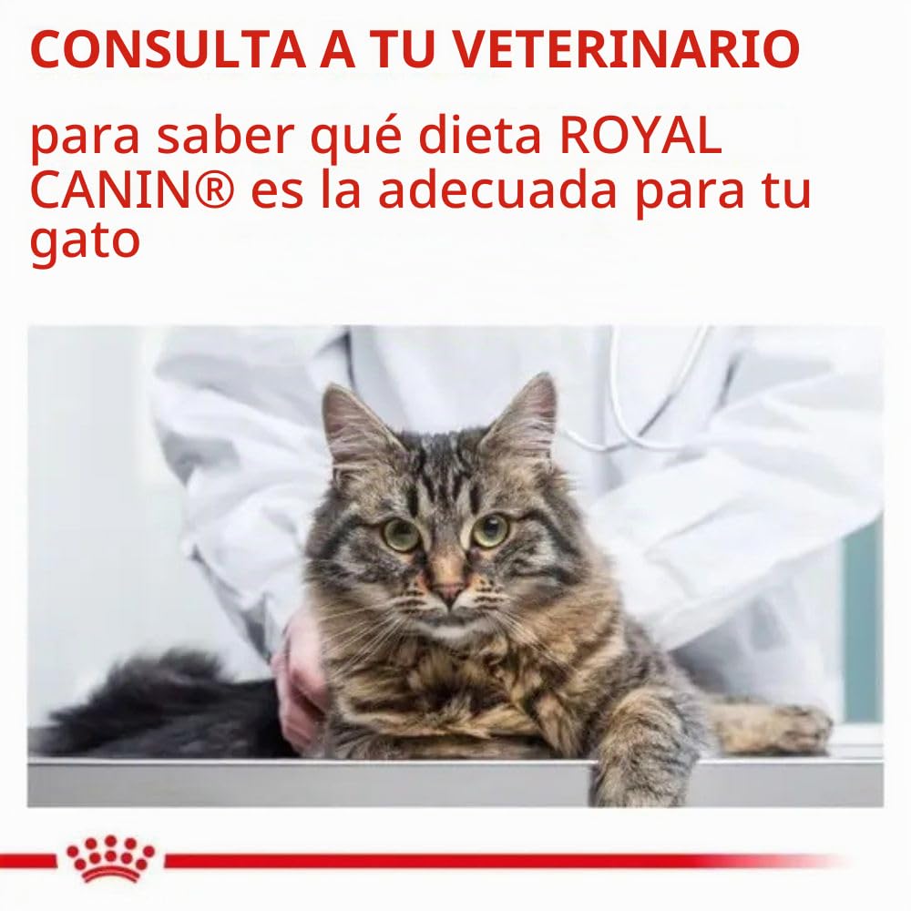 Royal Canin Alimento para Gatos Neutered Satiety Balance - 8 kg