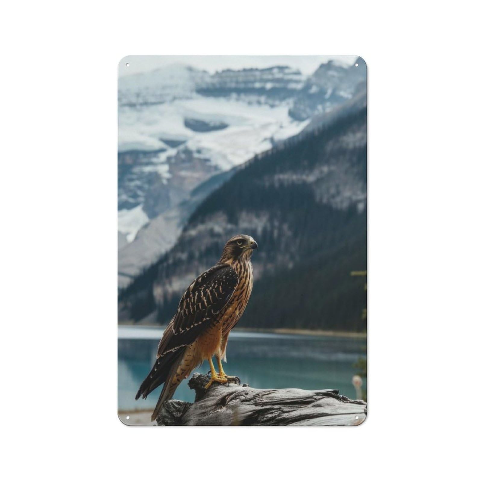 Junmoney Style-21 Rustic Metal Wall Sign 30X20cm Featuring Hawk Near Lake Nature For Garage Wall, Tin Sign Wall Decor For Garages And Workshops
