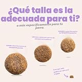 Ver la foto 5