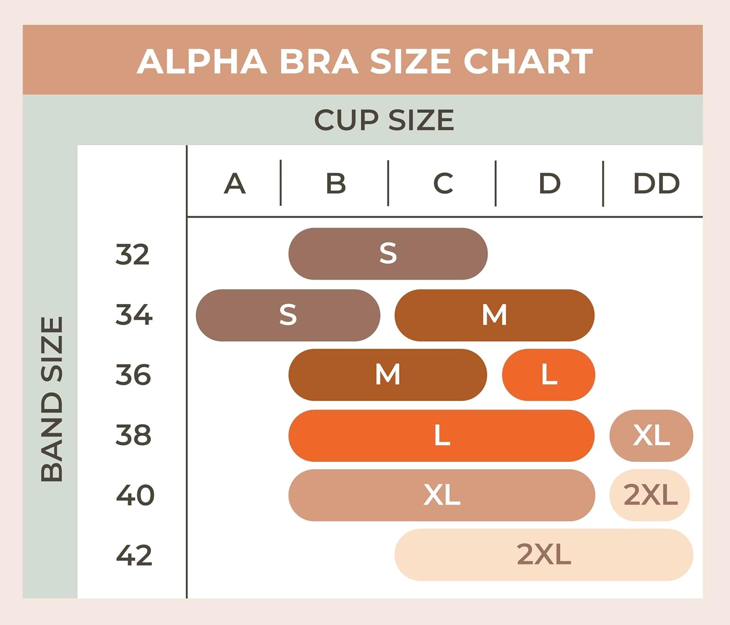 Floatley Cozy Scalloped Bra Comfort Wirefree Full Coverage Seamless Bra with Embedded Pad for Women - Image 6