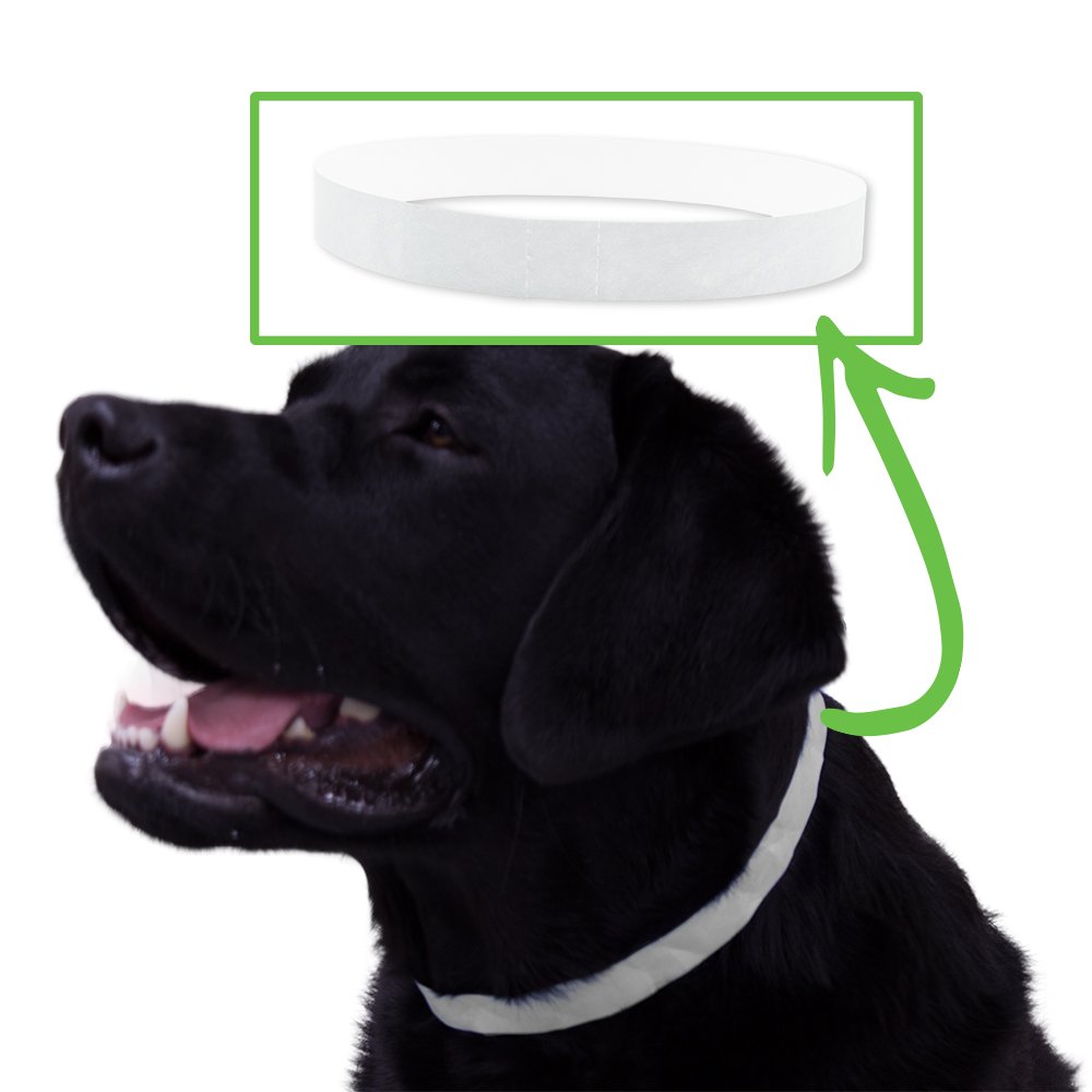 WristCo White Tyvek Dog Collars - 500 Count ¾” x 20” - Waterproof Recyclable Comfortable Tear Resistant Paper pet tagscollars for Veterinary Animal Hospitals