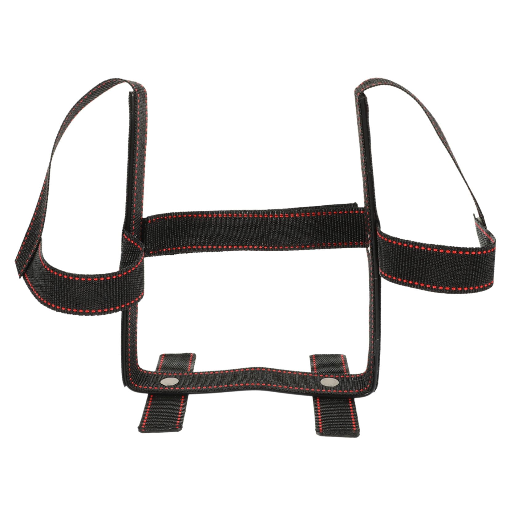 Support Oreilles Chien pour Dressage et Fixation des Oreilles de Chiots