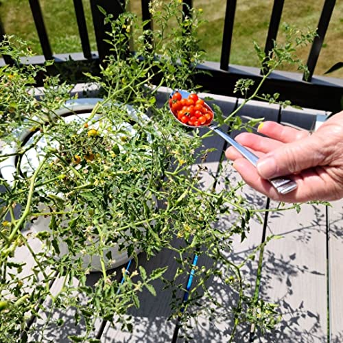 Go Grow Hydroponic Nutrients for All Veggies, Leafy Greens, Herbs and