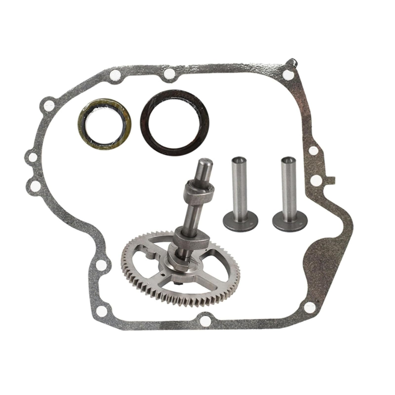 Compatible avec arbre à cames 793880 pour Briggs & Stratton 793583 792681 791942 795102 Kit d'arbre à cames avec joint 697110, joint d'huile 795387