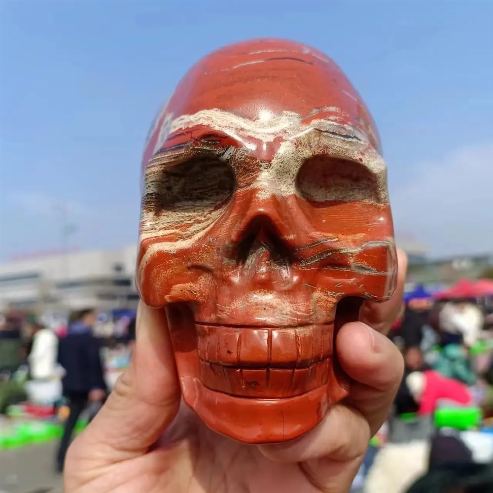 RVBLRDSE Red Jasper Skull, Quartz Crystal Ore Carved, Stone Decor Home Decor(Size:800-900g) Gemstone Stone