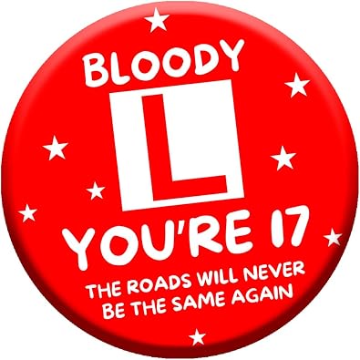 17th Birthday Gift 75mm Learner Driver Badge For Girls & Boys