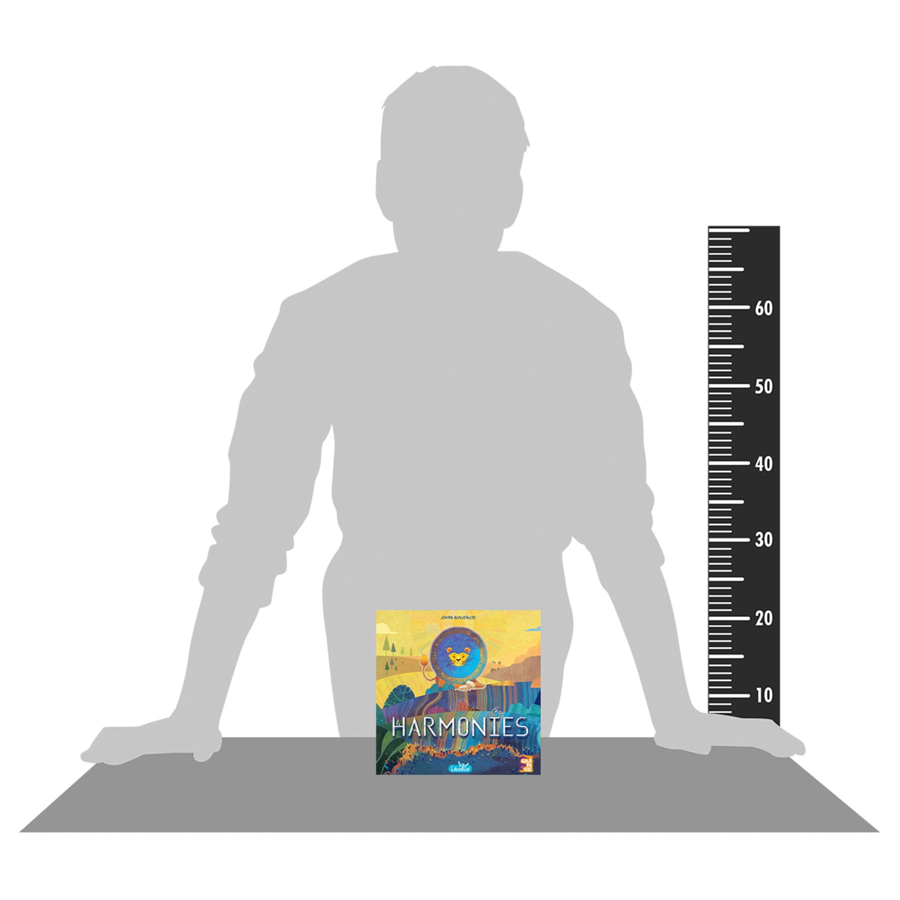 Asmodee Harmonies Juego de Mesa Estrategia Familias Adultos 10+ Años 1-4 Jugadores 30 Minutos Español