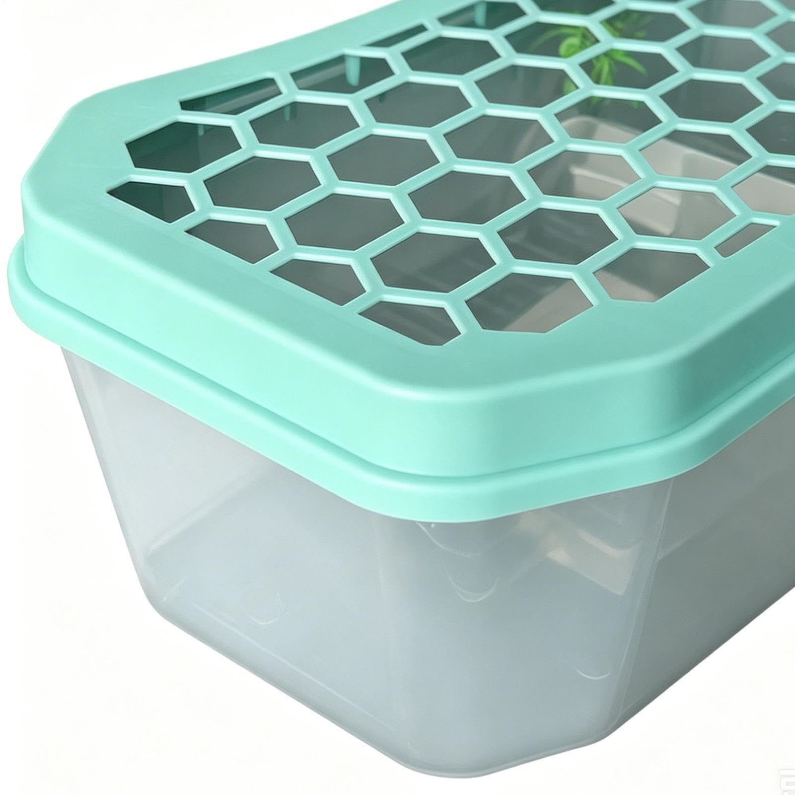 Terrario per tartarughe acquatiche, per tartarughe, gamberi, granchi eremiti, rane, ideale per la casa e la decorazione del soggiorno
