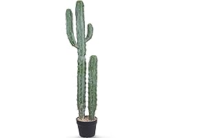 Artificial Cactus Indoor Plant