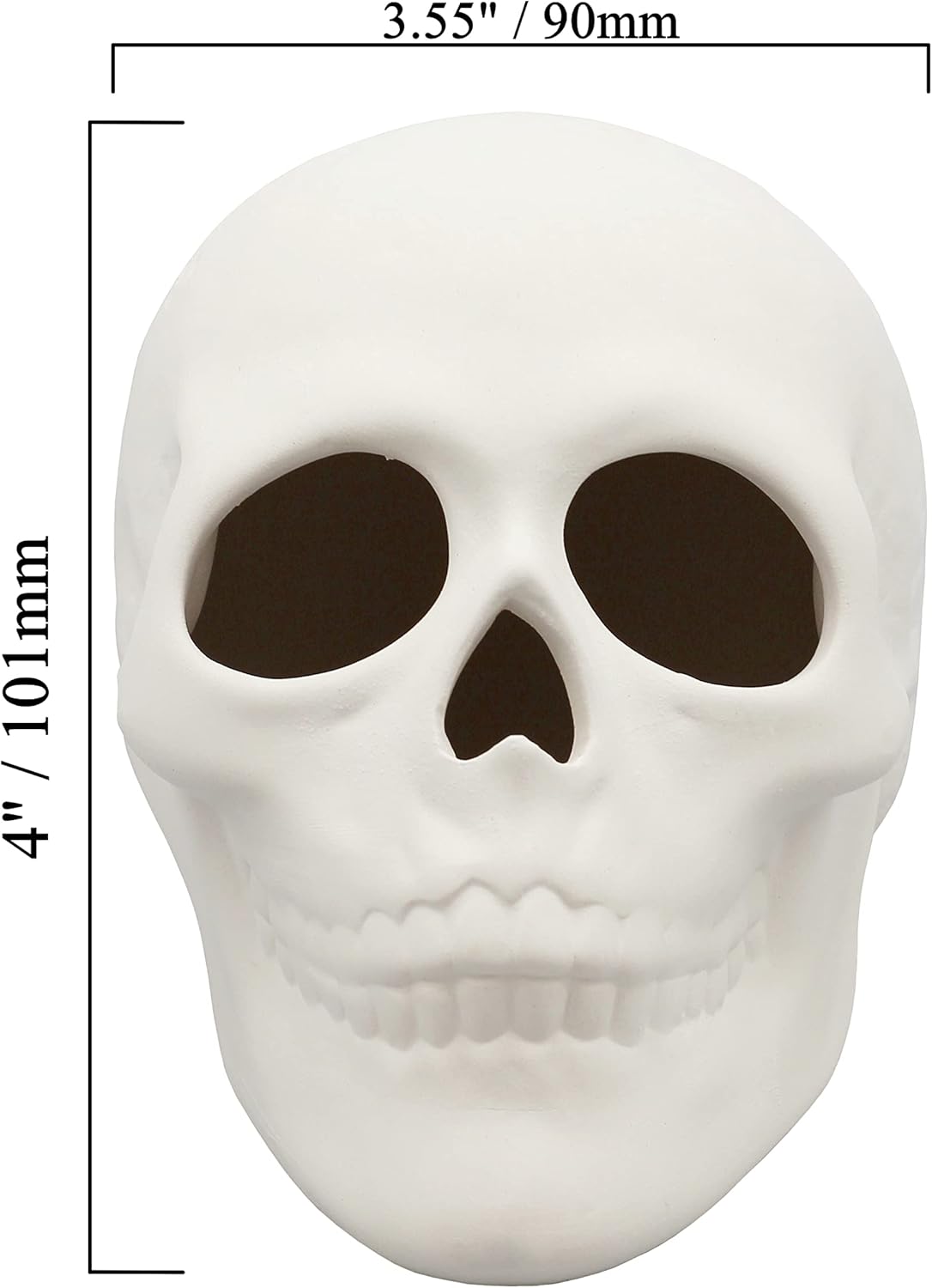 Ready to Paint Ceramic Bisque Skull, 5 in L x 4 in H, Halloween Craft Activity, Includes How to Paint Your Own Pottery Booklet (Pack of 3)