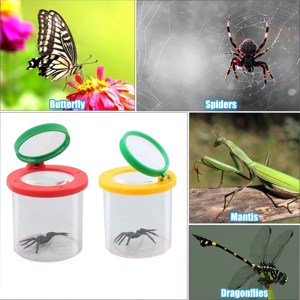 ZGDEIWGF Kit 12 Boîtes De Capture D'Insectes + 2 Pinces + Loupe - Observateur D'Insectes Portable Pour Enfants Et Scientifiques