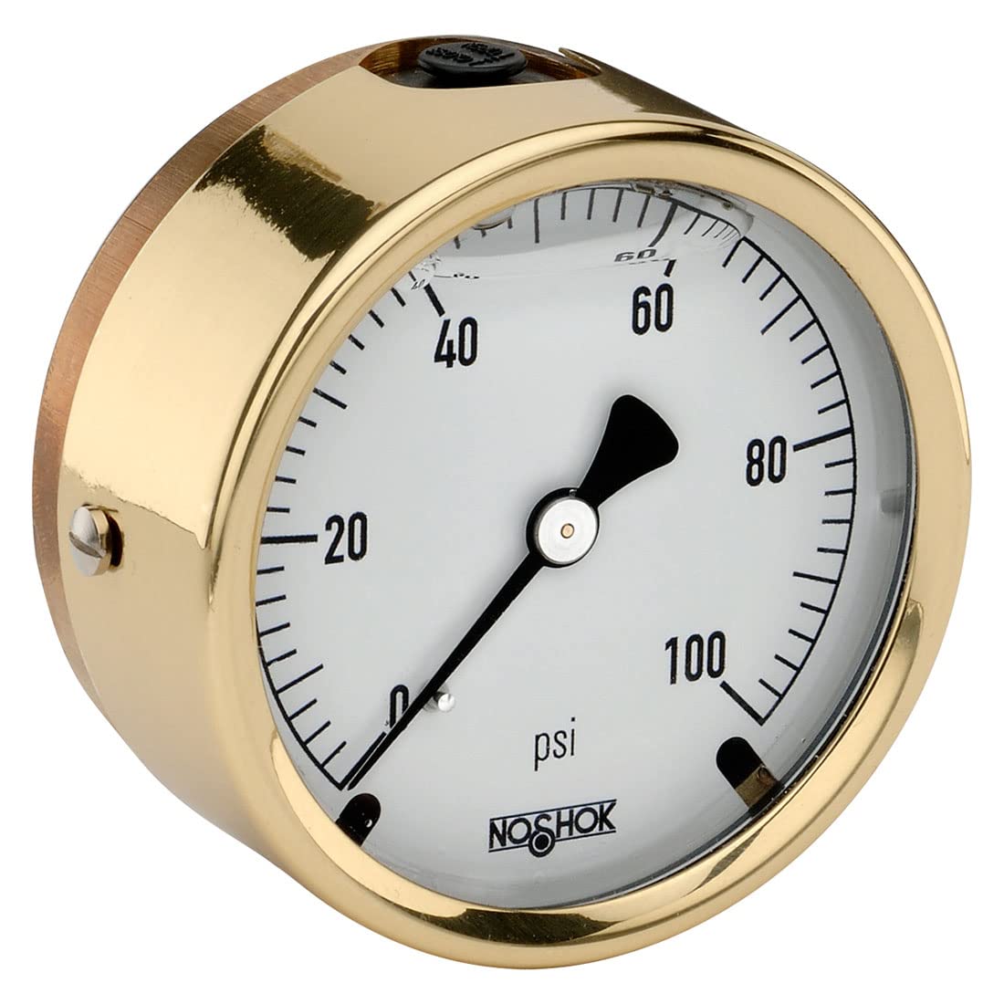 NOSHOK 300 Series Brass Liquid Filled Dial Indicating Pressure Gauge