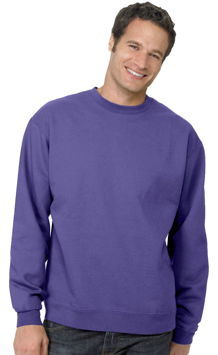 Hanes Men's EcoSmart Sweatshirt