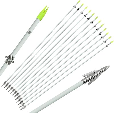 OBTOUTDOOR 6 PCS/12PCS 36 Inch Bowfishing Arrows 8mm Fishing Arrow Fiberglass Arrow with Broadhead for Slingshot Archery Hunting Fishing (6 PCS)