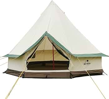 61aLysJVLnL._AC_UF350,