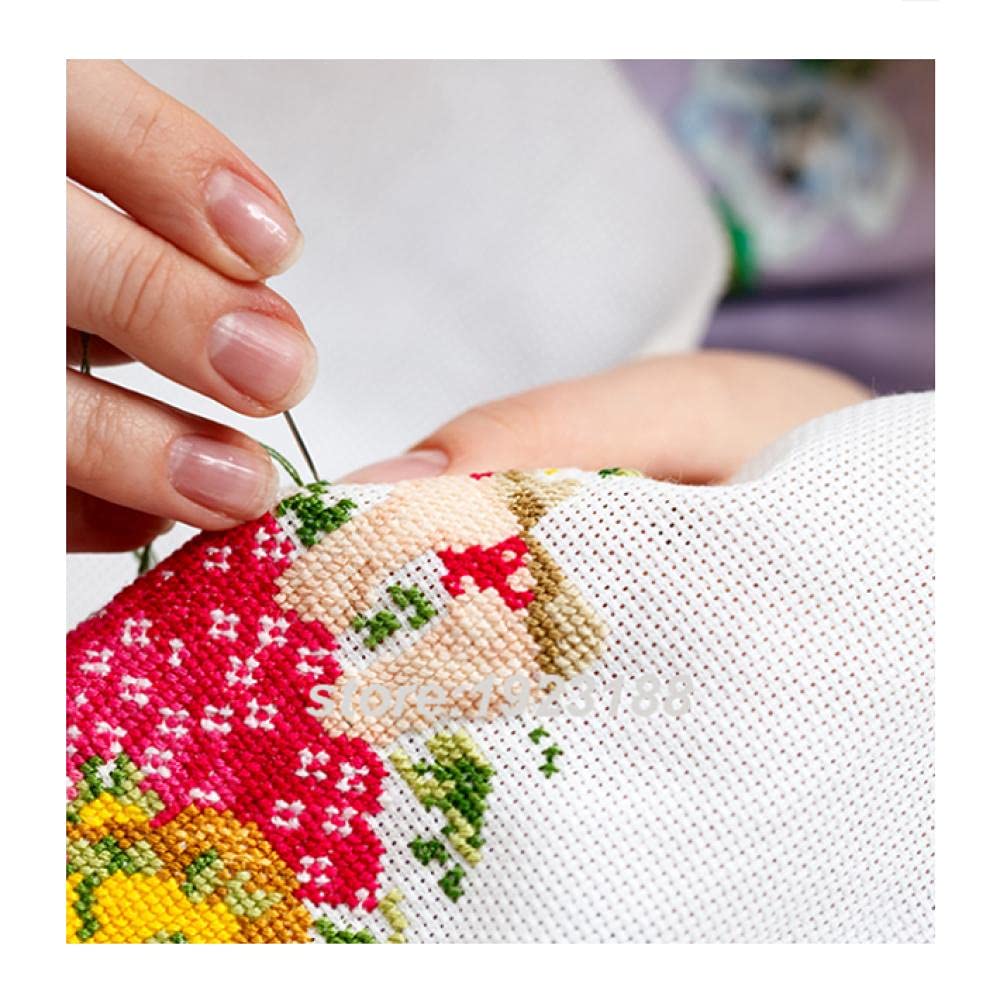 Amazon | クロスステッチキット DIY 手作り刺繍キット 正確な図柄印刷 