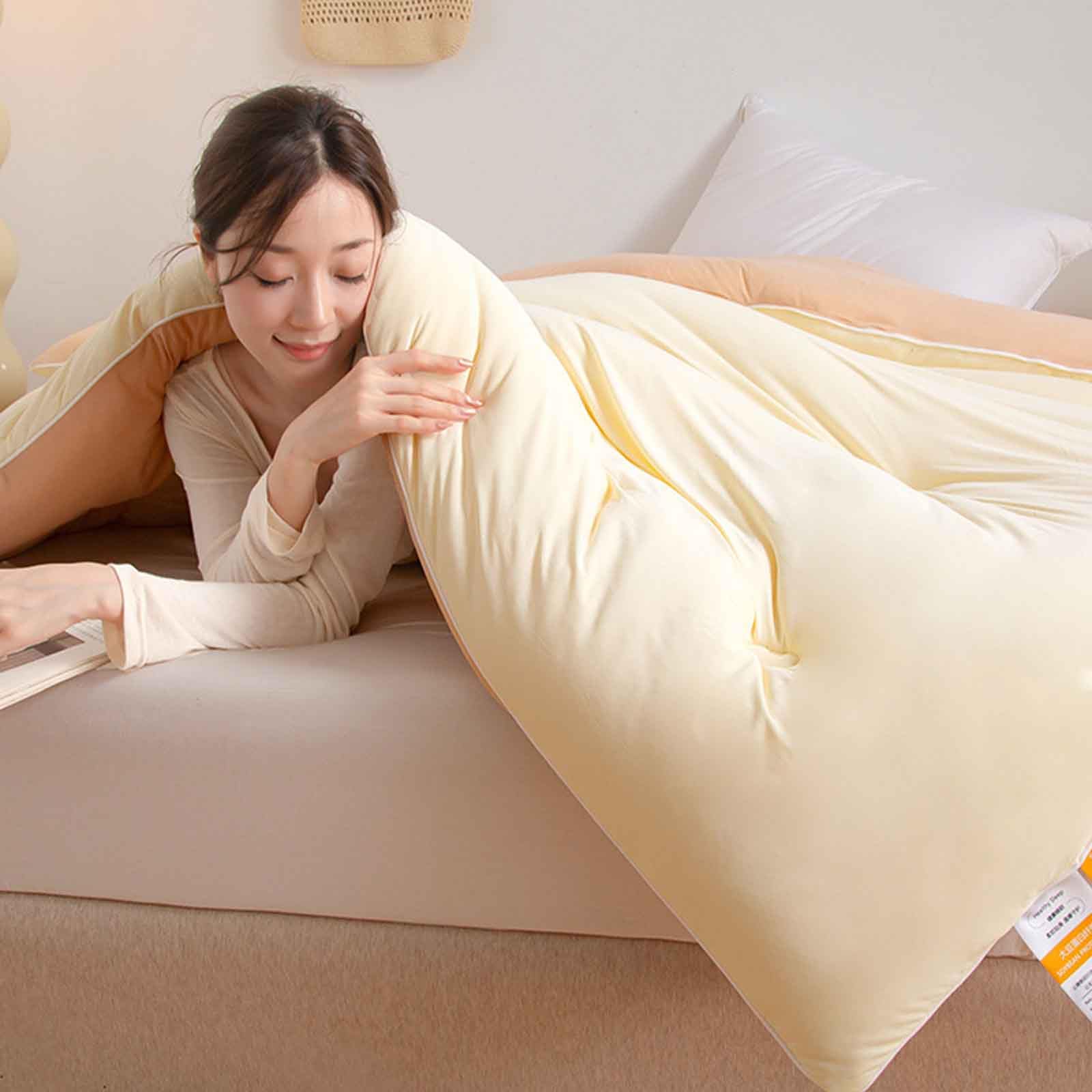 HLTQL Soybean Fiber Quilt Winter Quilt,Thick Winter Comforter, Very Warm And Super Soft Blanket For 2 People, Microfiber Quilt, Reversible Quilted Duvet(B,200 * 230cm/5.25kg)