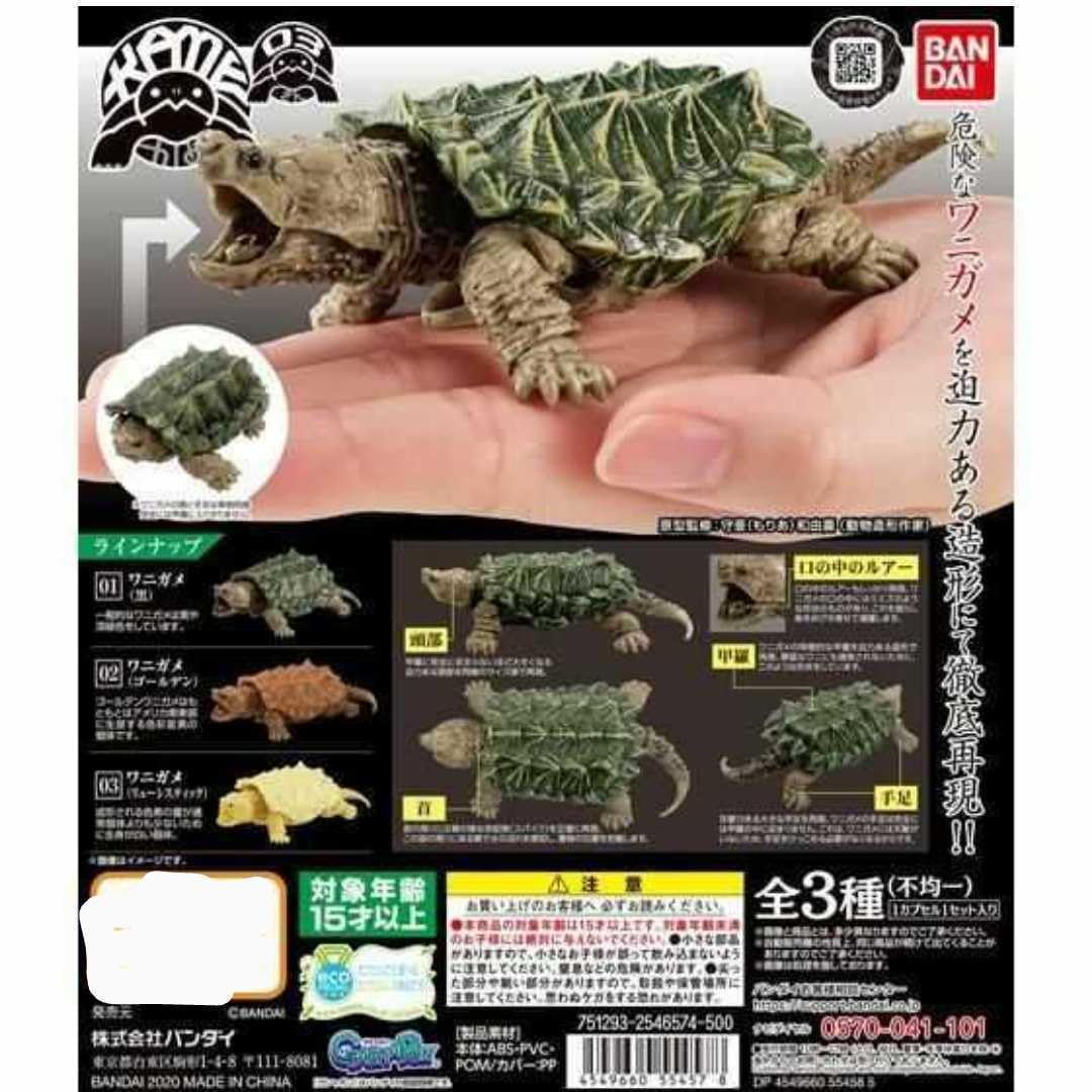 BANDAI - 新品未開封　ガシャポン　 かまきり　すずめばち 01 02　セット いきもの大図鑑スズメバチ02 かまきり ガチャガチャ スタンド