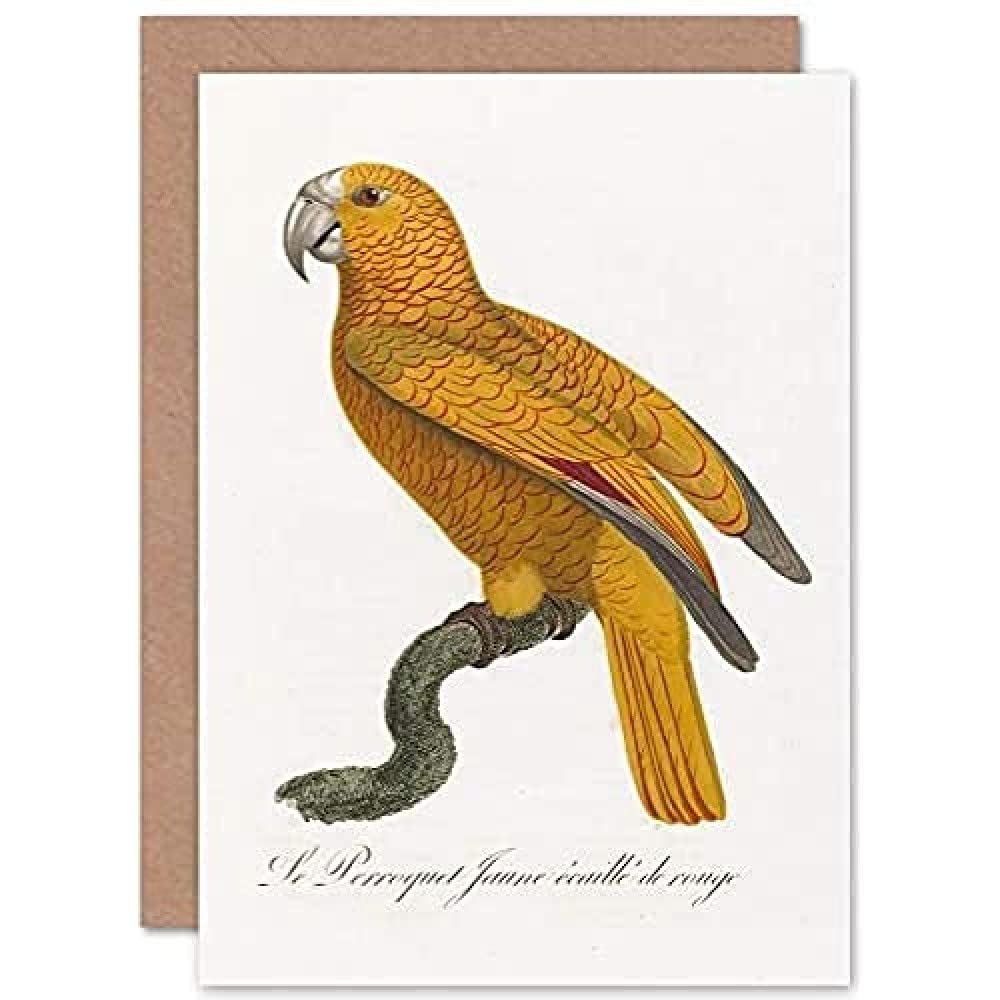 Artery8 Orange Bird Vintage Greeting Card