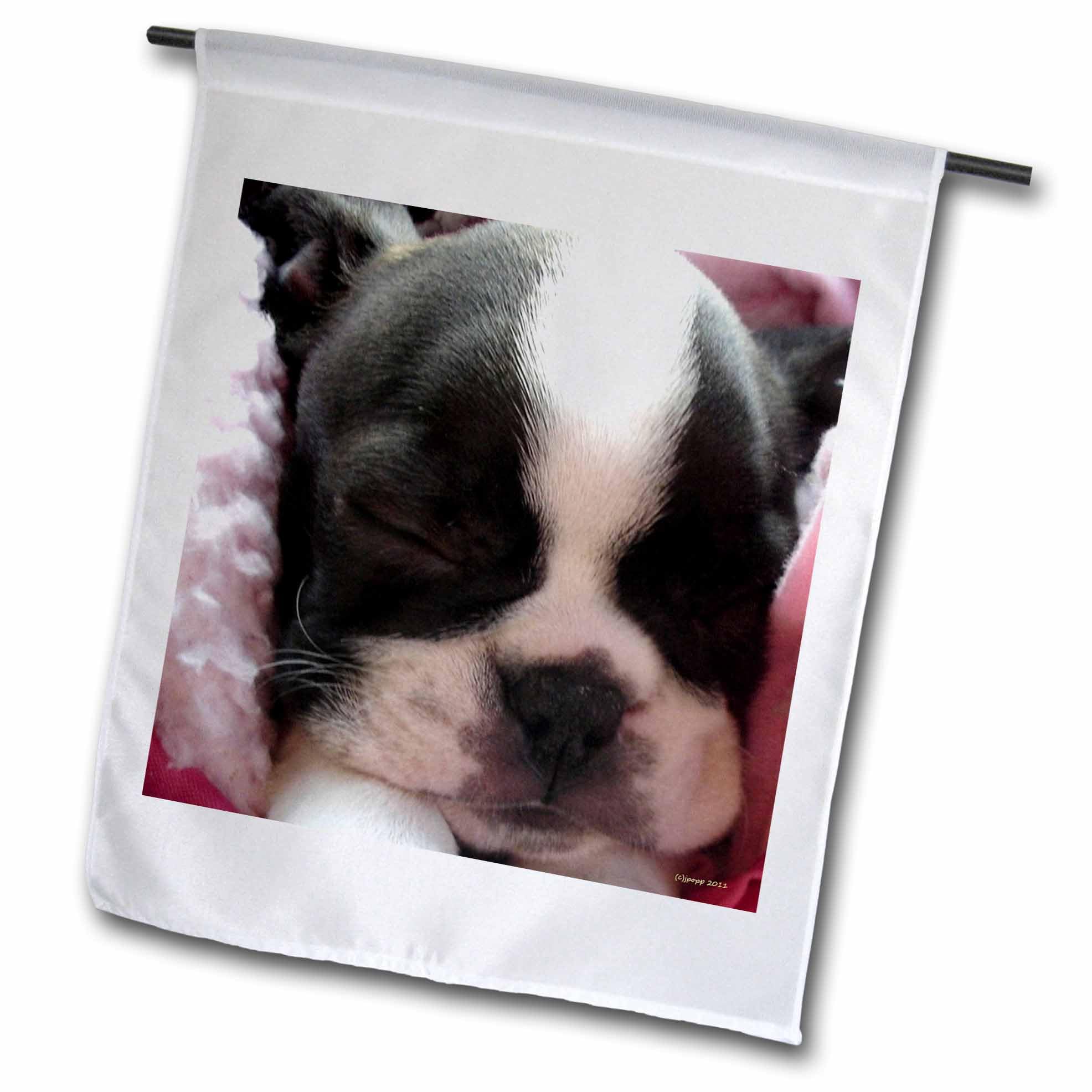 Boston Terrier Gartenflagge – 30,5 X 45,7 Cm, Polyester, Einseitig Bedruckt