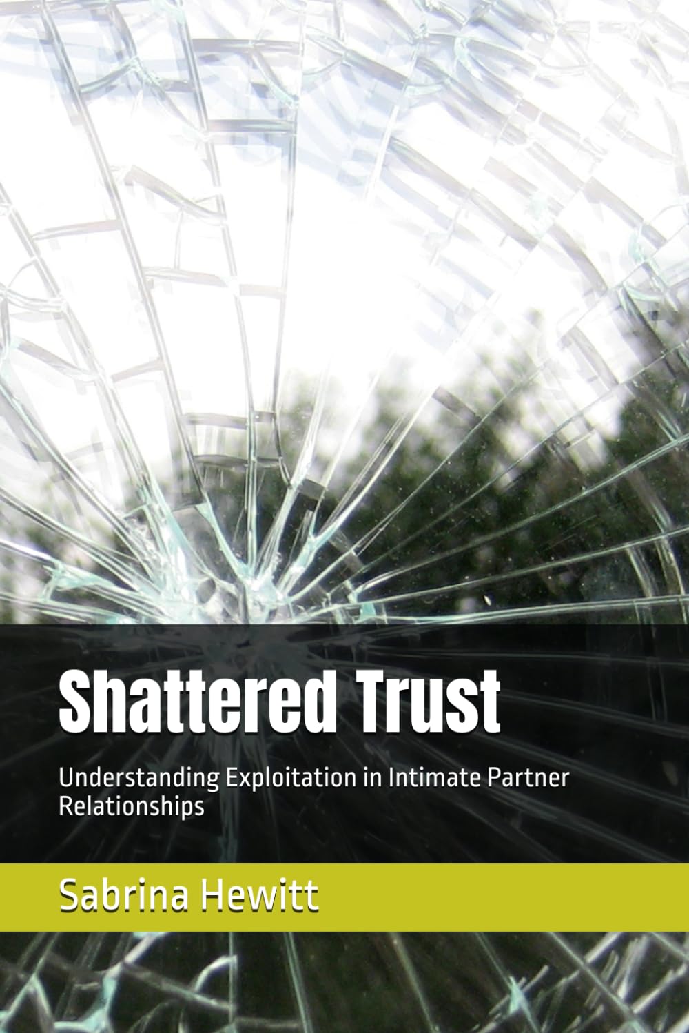 Shattered Trust: Understanding Exploitation in Intimate Partner Relationships