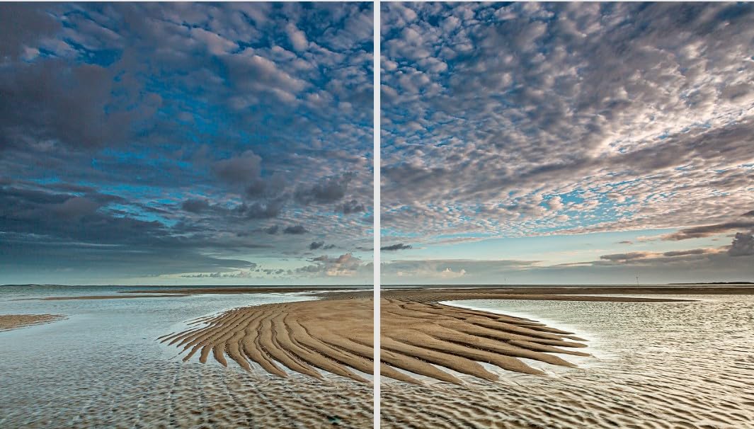 Wunderwelt Wattenmeer: Exklusive Einblicke in einen faszinierenden Kosmos