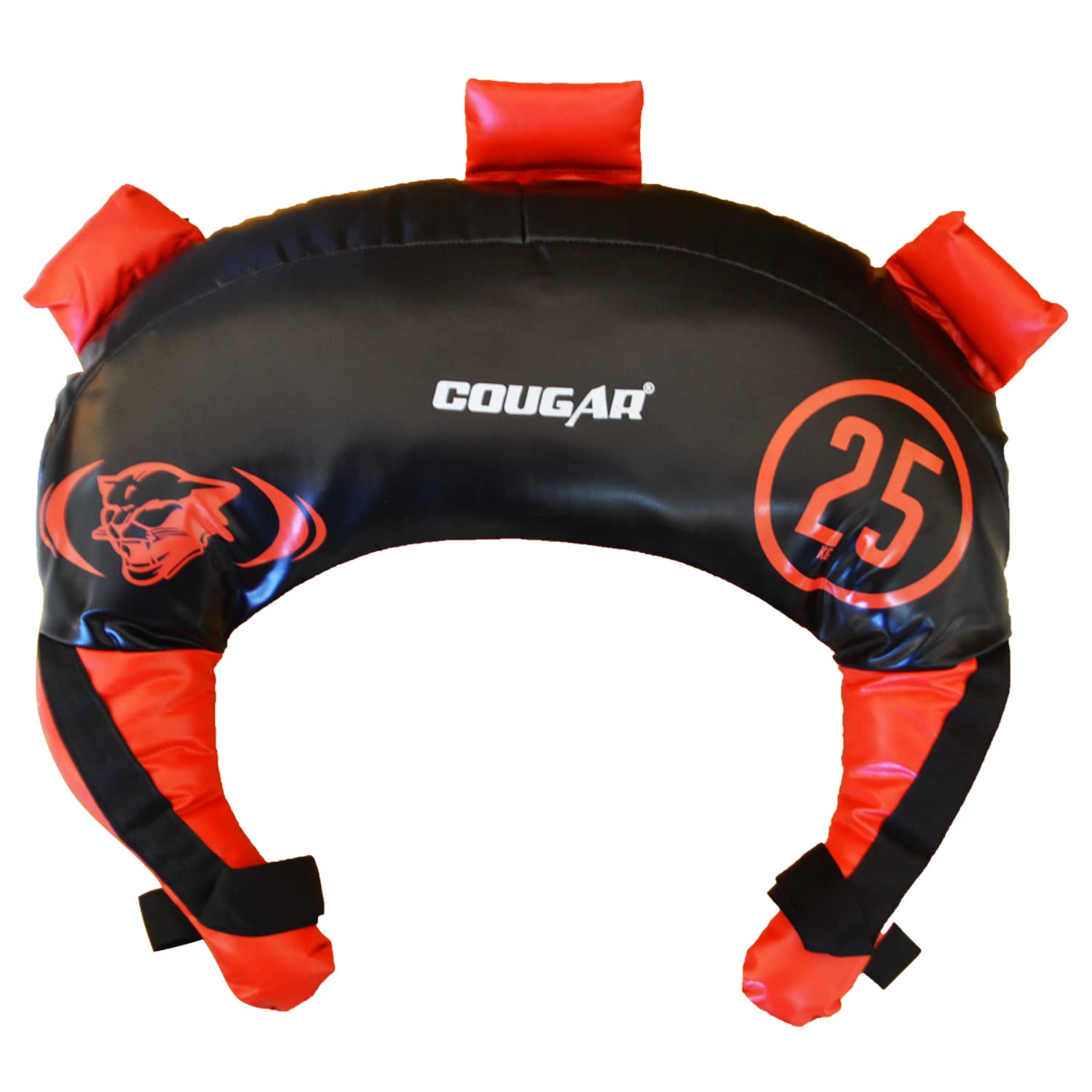 Cougar Strength Training Bag for Fitness Gym Training, Crossfit, Wrestling, MMA Bulgarian Sand Bag Available in Weight 25 Kg-picture-28