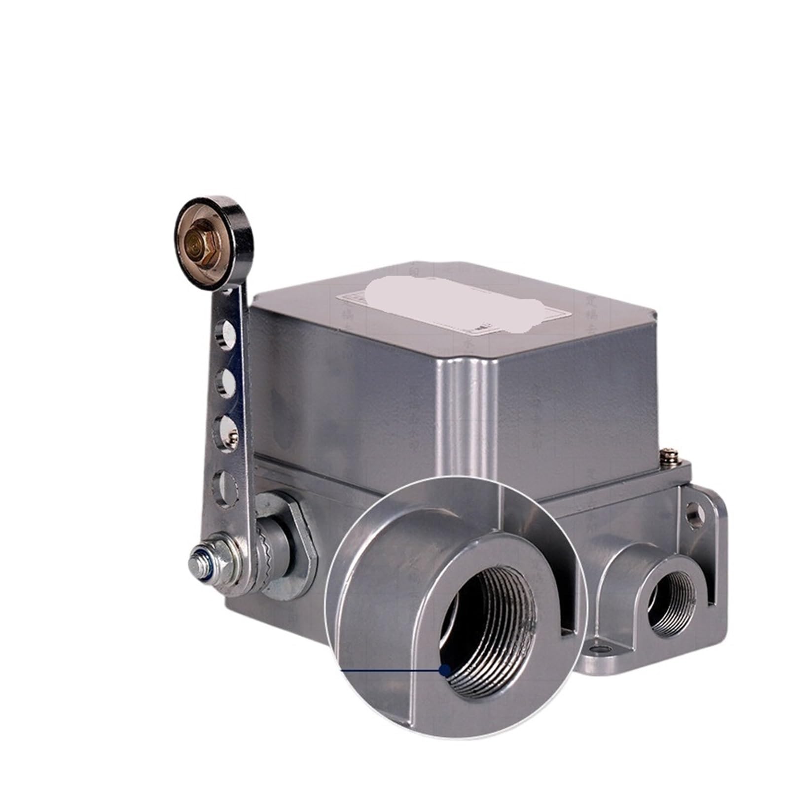 Final de carrera de servicio pesado DF1-A, 1NO+1NC, IP65, 380V | Brazo de rodillo simple | Carcasa de aluminio fundido