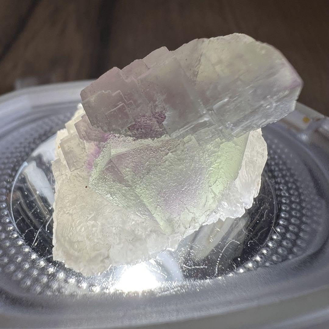 Amazon | 八面体＋六面体 フローライト 水晶 H20 共生 鉱物 標本