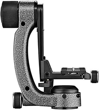 Gitzo Fluid Gimbal Head, Gimbal Head with Fluid Cartridge, with Whip-Pan for Movement Control, Compatible with Systematic and Mountaineer Tripods, for Photographers and Videographers