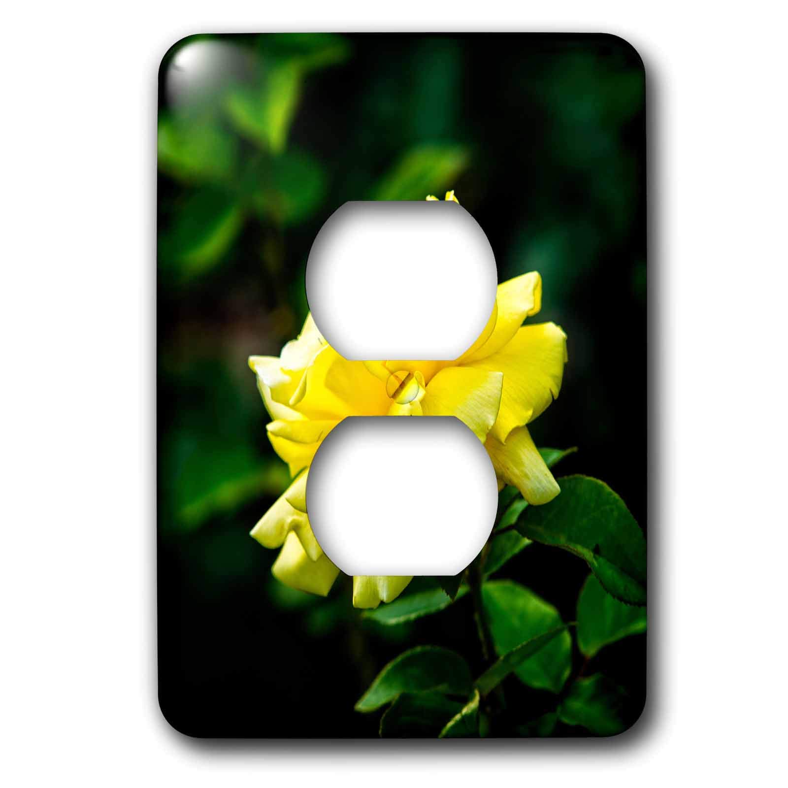 Tapa decorativa de 2 tomas de corriente con rosa amarilla y fondo verde 3dRose LSP_283953_6